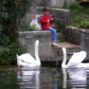 07 Weicht Sabine Am Schwanensee